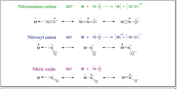 Figure 1.9. Simplified schemes of molecular orbitals for straight and bent geometries  of mononitrosyl complexes  M OM N ON M NM OONMNOMNONitrosonium cation Nitroxyl anion Nitric oxide ı-bonding ʌ-dative interactionı-bonding ı-bonding ʌ-dative  interaction