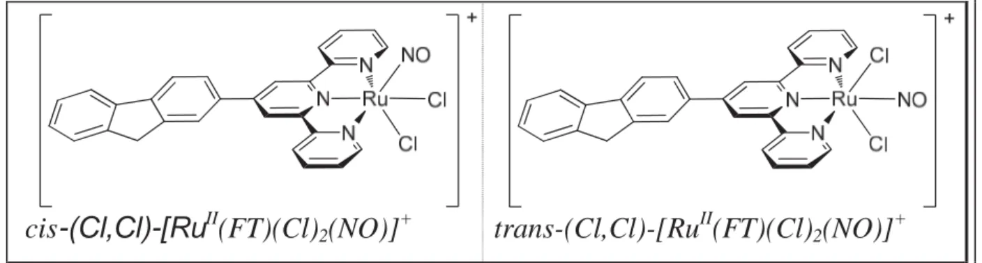 Figure 1.20. The structure of complexes with terpyridine ligand and two  monodentate chloro-ligands 