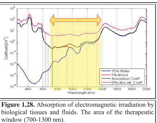 Figure 1.28. Absorption of electromagnetic irradiation by  biological tissues and fluids