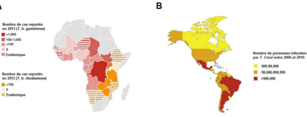 Figure 13 : Distribution A) du nombre de cas de Trypanosomiase Humaine Africaine en 2013 103  et B) du nombre  de personnes infectées par la Maladie de Chagas entre 2006 et 2010