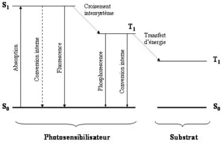 Figure I-10 : Diagramme de Jablonski. S 0  : état fondamental ; S 1  : état singulet excité ; T 1  : état triplet excité 