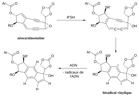 Figure  I-17 : : Mécanisme d’activation et de coupure de l’ADN  par la néocarzinostatine