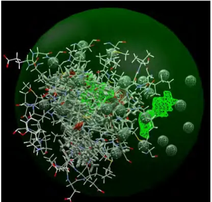 Figure 38 : Les composants du système utilisé dans le calcul. La figure englobe la sphère de recherche  (grande sphère, vert clair), la cavité (vert fluorescent), la protéine 1G50 (stick blanc, rouge et bleu), les  ligands (wireframe blanc) et les résidus 