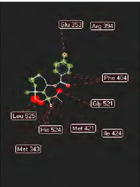 Figure 40 : Interactions de férutinine (FRT) avec les acides aminés dans le site actif du REα