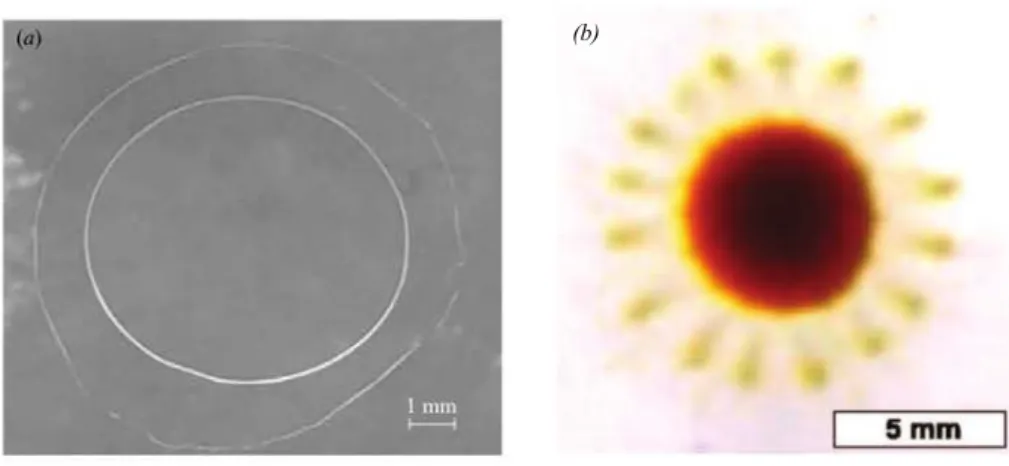 Figure 1.22: Pulsating drops. a: A pulsating drop mineral oil containing a non-ionic, non-water soluble surfactant (taken from [ 66 ] )