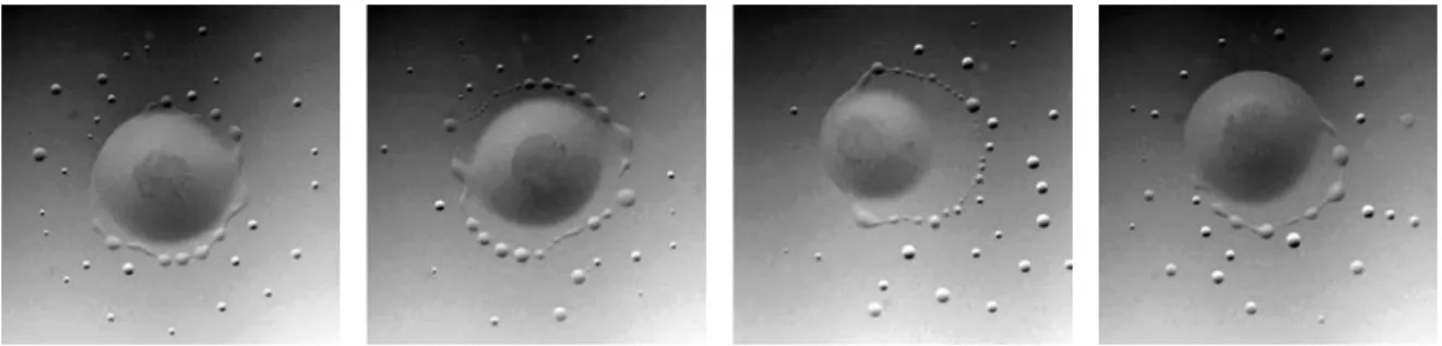 Figure 2.4: Series of a DCM drop on a 0.25 mM CTAB solution. As it evolves it undergoes translational motion (last two images).