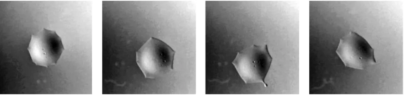 Figure 2.7: Series of a DCM drop on a 30 mM CTAB solution. As it evolves it starts ejecting smaller droplets (visible in the last two images).