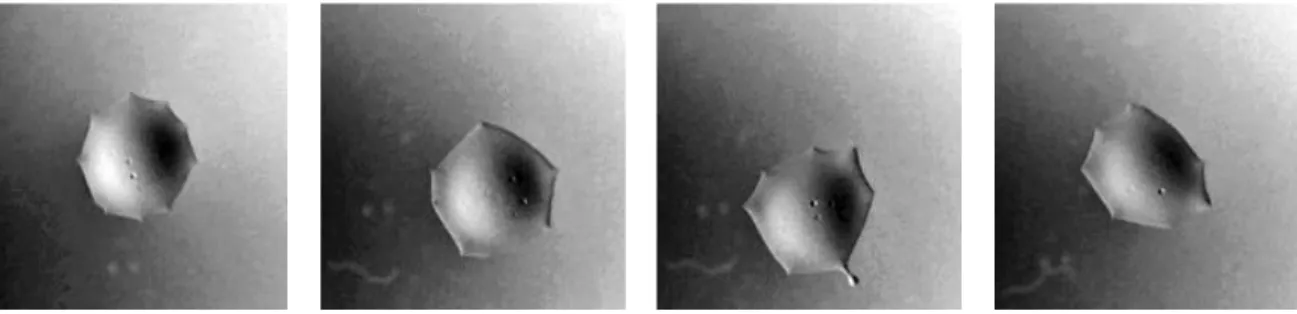 Figure 2.12: Series d’une goutte de DCM sur une 30 mM CTAB solution.