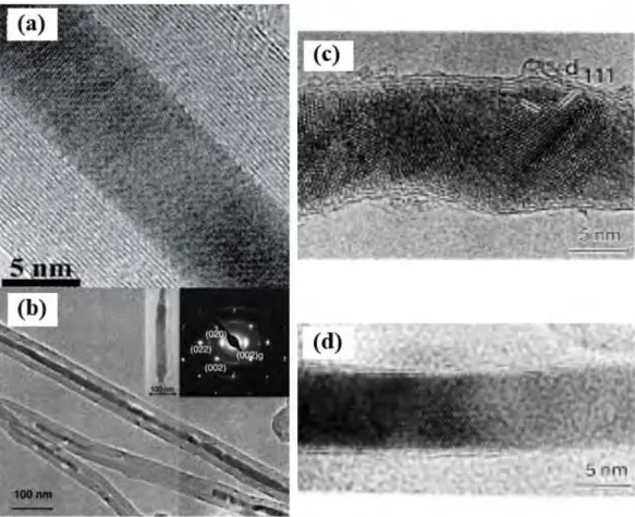 Fig. 1.5 - (a) HRTEM image of a α-Fe filled MWCNTs prepared by CCVD process [81]; (b) TEM image of Co  nanowires encapsulated inside nanotubes prepared by CCVD process