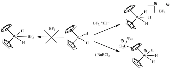 Figure 21 : réactions entre un complexe de tungstène et deux boranes 