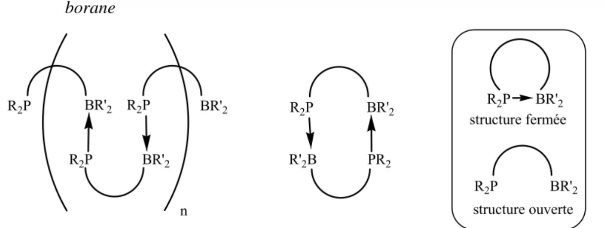 Figure 2 : schéma général de la structure pouvant être adoptée par les monophosphine- monophosphine-borane  structure ouvertestructure fermée nR2PBR'2R2PBR'2R2P BR' 2 R 2 P BR' 2PR2R'2B R 2 P BR' 2R2PBR'2