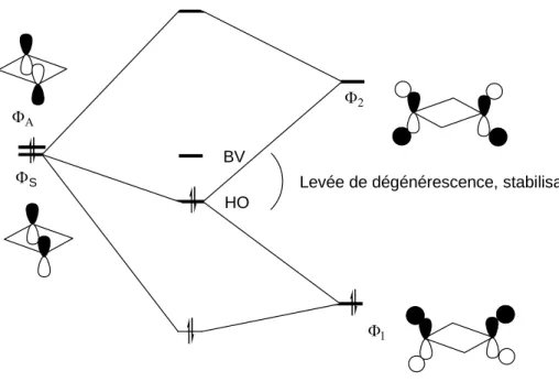 Figure I-19 : Stabilisation de A1 par le biais d’interactions through bond 