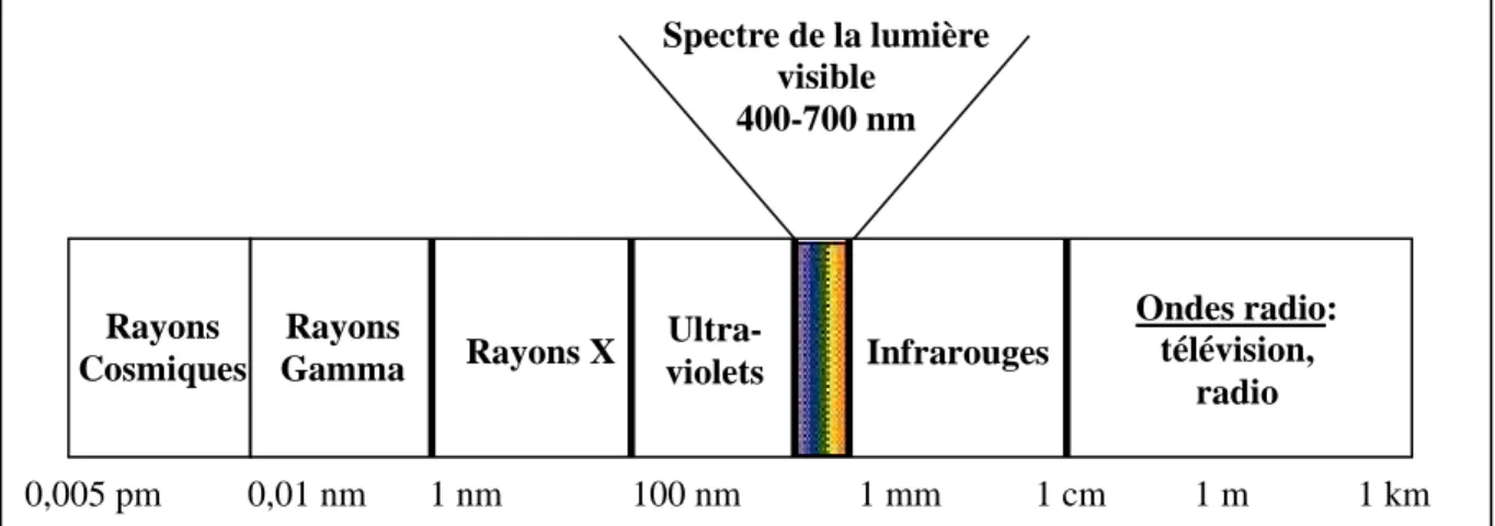 Figure 2 : Spectre électromagnétique. 