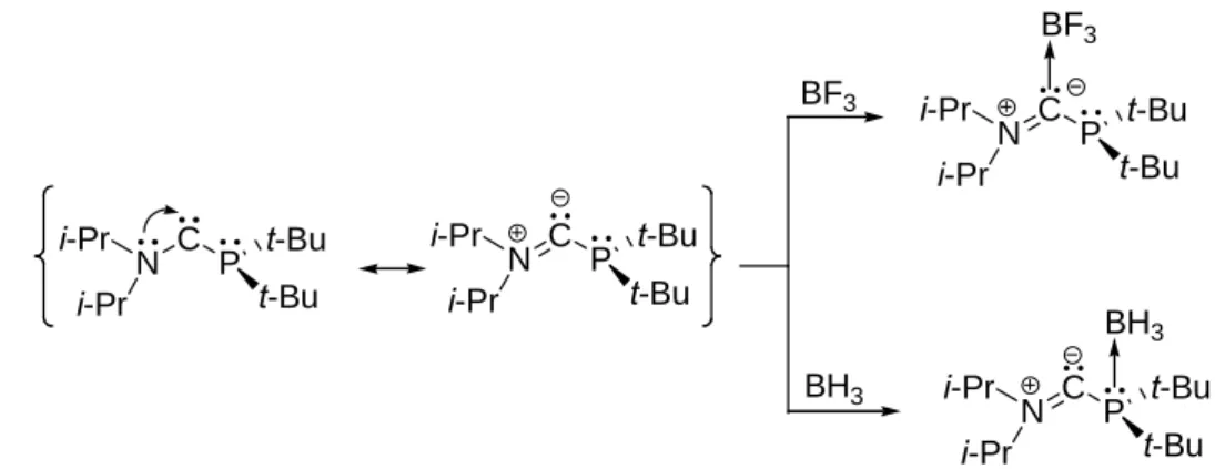 Figure 4: aminophosphinocarbène: une molécule bifonctionelle