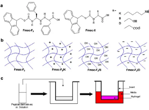 Figure I-12: a. Chemical structures of the four hydrogel systems studied by Jayawarna et al