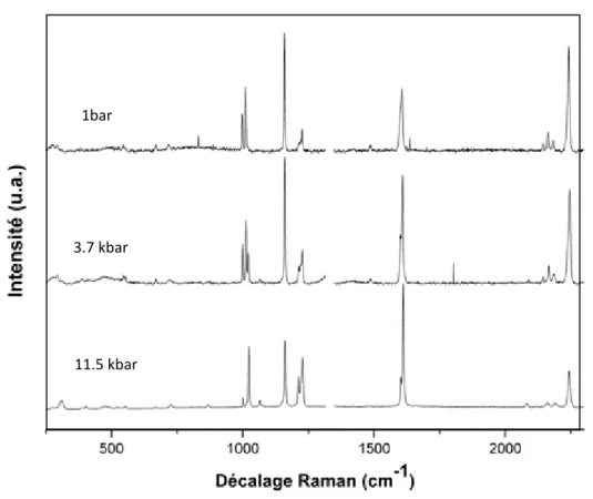 Figure B.1.7.1- Spectre Raman du composé Fe(bpac) 2 [Ag(CN) 2 ] 2 ·bpac en fonction de la pression appliquée 