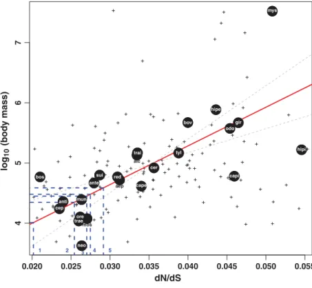 Fig. 1 Relationship between mtDNA dN/dS and log 10 (body mass) in Cetartiodactyla. Crosses correspond to terminal species; larger black circles represent clusters