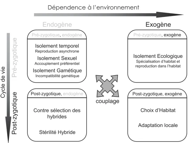 Figure  2:  Classification  des  mécanismes  d’isolement  reproductif  en  fonction  de  leur  indépendance  à  l’environnement  et  au  stade  du  cycle  de  vie  au  moment  duquel  ils  interviennent