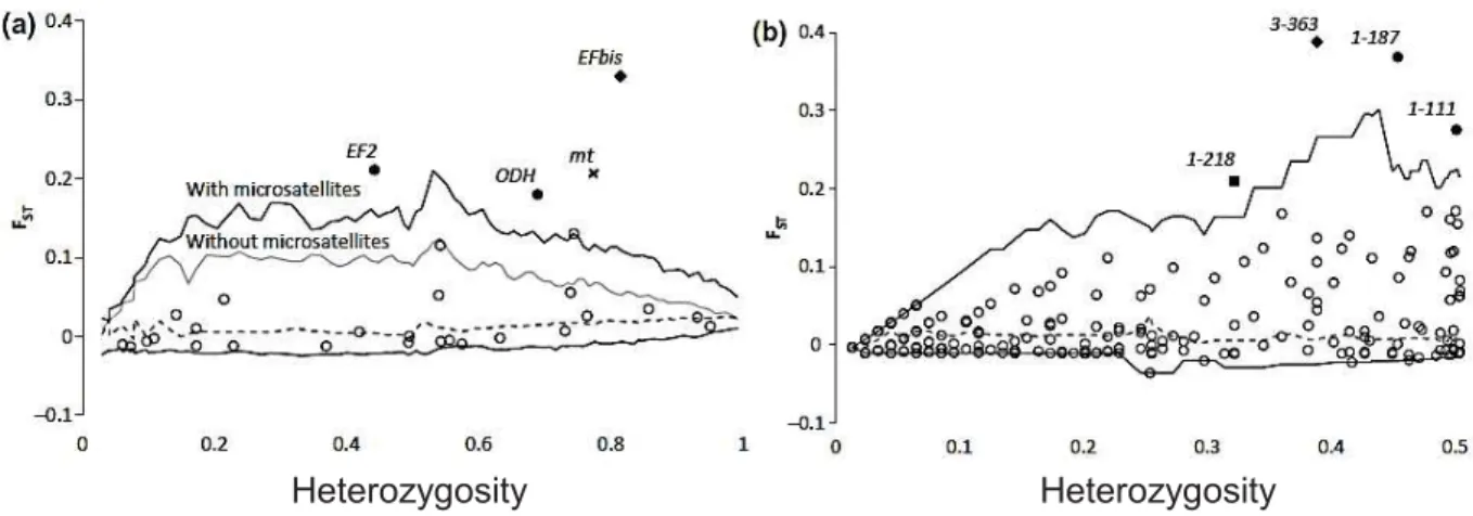 Figure  6:  Scan  génomique  d’outliers  de  la  différenciation  chez  Mytilus  galloprovincialis  entre  la  Mer  Méditerranéenne  et  l’Océan  Atlantique  (Péninsule  Ibérique)