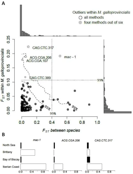 Figure  7:  Scan  génomique  inter-  et  intra-spécifiques  basée  sur  440  loci  (422  AFLP  et  18  marqueurs nucléaires codominants)