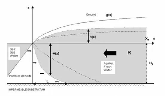 Figure 1.1 : Schéma interface abrupte eau salée/eau douce d’aquifère superficielle libre 