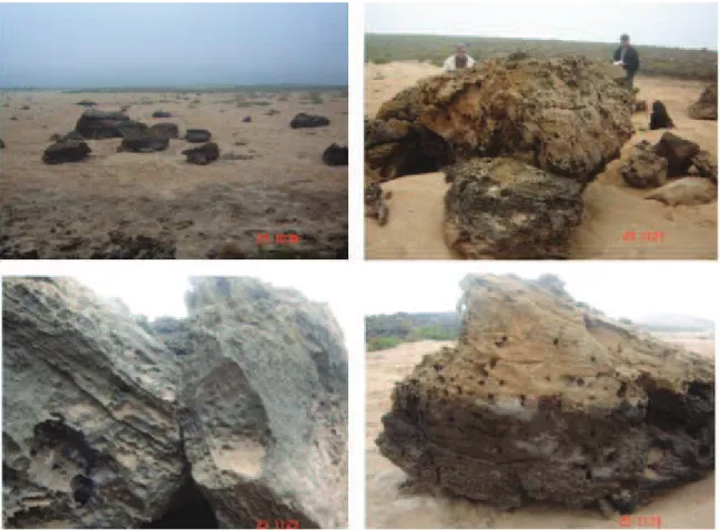 Figure 22. Exemples de blocs identifiés dans la lagune de Sidi Moussa