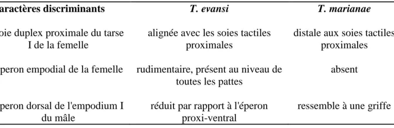 Tableau 3. Les principaux caractères morphologiques différenciant T. evansi et T. marianae