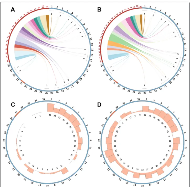 Fig. 4 Gene copy number variations in L. (V.) peruviana. Mapping of expanded genes in both L