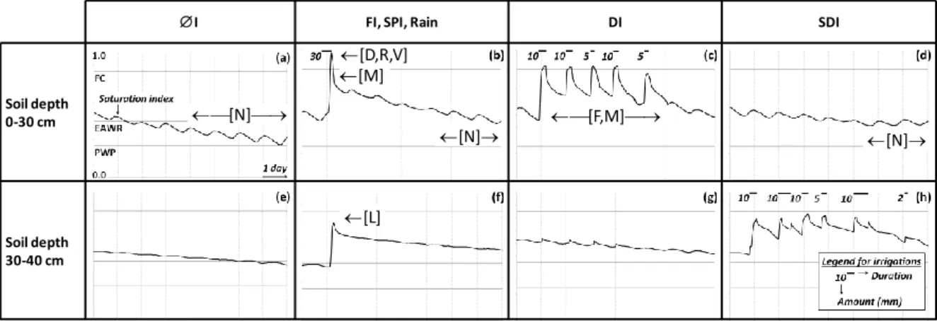 Figure 2 - Summary of the expected influence of the irrigation techniques on the nitrogen cycle, as mainly depending  on soil water content, represented  here  by the evolution of the saturation index (y axis) with time (x axis), averaged  over  different 