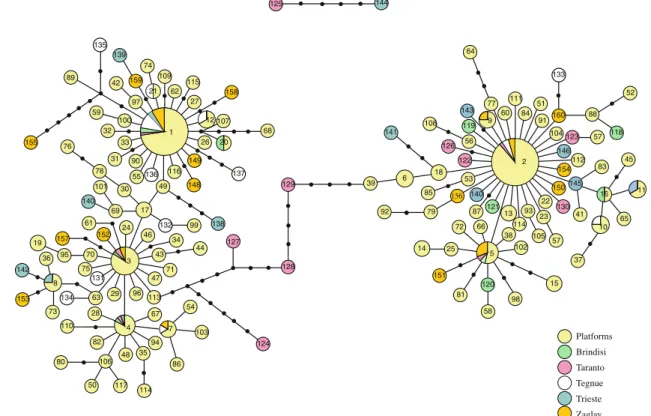 Fig. 4 Minimum spanning network illustrating the phylogenic rela- rela-tionships among the 160 mtCOI haplotypes of Pomatoceros triqueter.