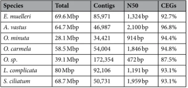 Table 3.  Comparative statistics of poriferan transcriptomes. Table providing the total size of each 