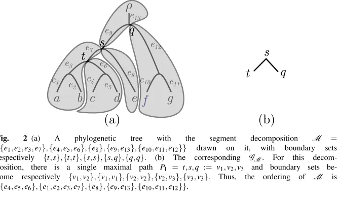 Fig. 2 (a) A phylogenetic tree with the segment decomposition M = {{e 1 , e 2 ,e 3 ,e 7 }, {e 4 , e 5 , e 6 }, {e 8 },{e 9 ,e 13 }, {e 10 , e 11 ,e 12 }} drawn on it, with boundary sets respectively {t, s}, {t,t}, {s, s},{s, q},{q, q}