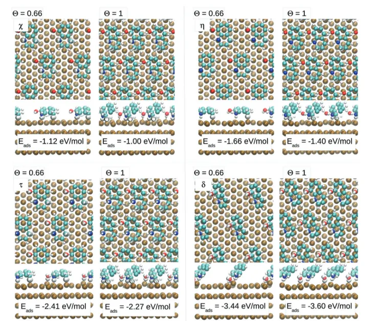 Fig. 2 Adsorption topologies and electronic density variation (Dr) at two coverages (y = 0.66 and y = 1)