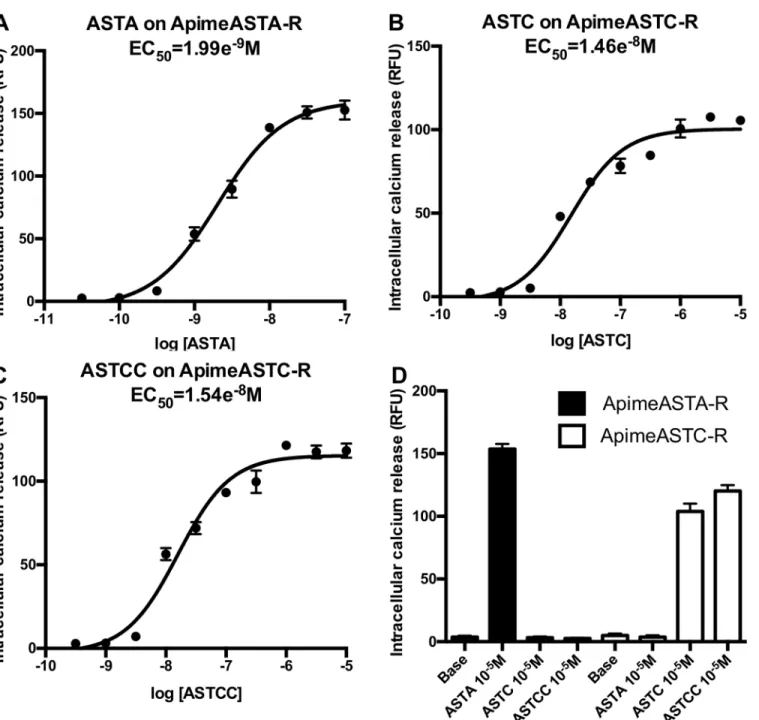 Fig 4. Functional characterization of Apime-ASTA and Apime-ASTC receptors in vitro. HEK293 cells were transiently transfected with Apime-ASTA or Apime-ASTC receptors and a chimeric G protein allowing artificial coupling to PLC (see materials and methods)