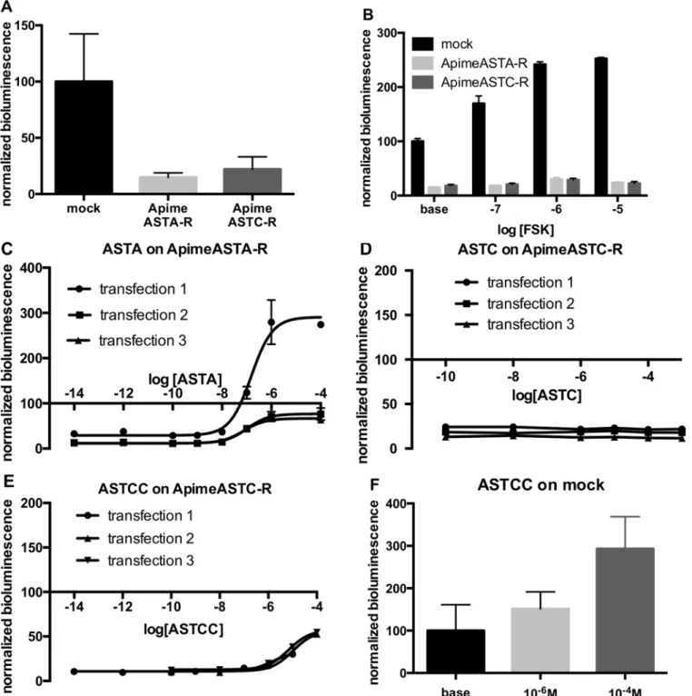 Fig 5. Apime-ASTA-R and Apime-ASTC-R display constitutive inhibitory activity, down-regulating cAMP