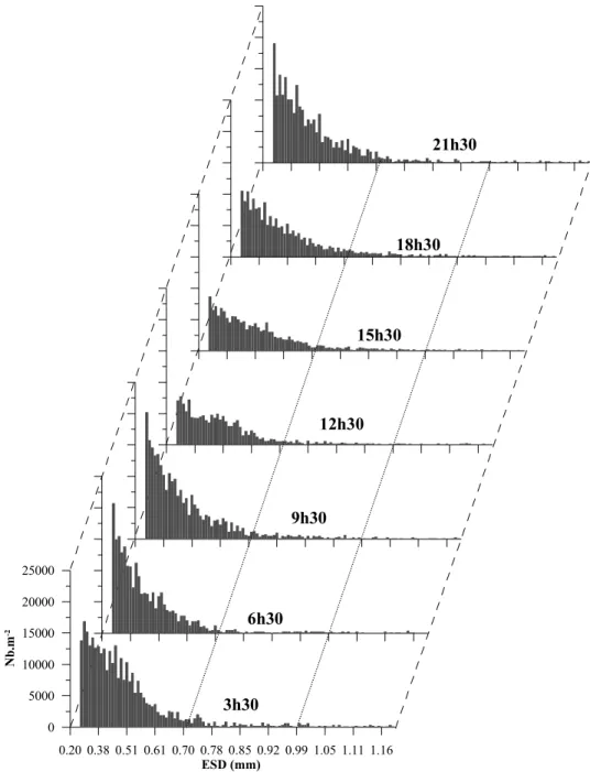 Figure 5. Temporal variation of size spectrum at the coastal 24 hour station of PEL2001 (hours UT).