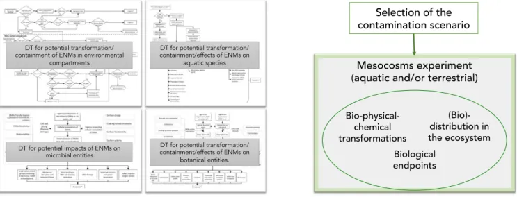 Fig. 1. Decision tree vs. exposure scenario driven risk assessment strategy.