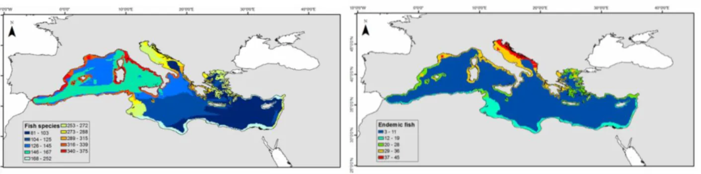 Figure 1 : Modélisation spatiale de la richesse en espèces de poissons en Méditerranée, les couleurs  indiquant l’occurrence des espèces (du bleu : pas ou peu d’occurrence, au rouge : forte occurrence),  d’après Coll et al., 2010 