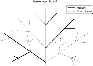 Figure IV-13 : Protocole d'échantillonnage récursif dans  le système ramifié. Le choix de l'axe décrit au sein de la  PA est fait de manière aléatoire sauf si certains axes sont  visiblement très difficiles à relire.