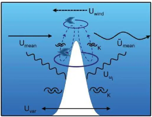 Figure  1.2  Characteristic  features  of  motion  at  an  isolated  southern  hemisphere  seamount