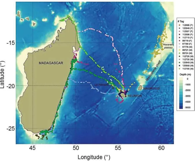 Figure 1.11 Received Argos locations from humpback whales tagged in Réunion in 2013 (F: 