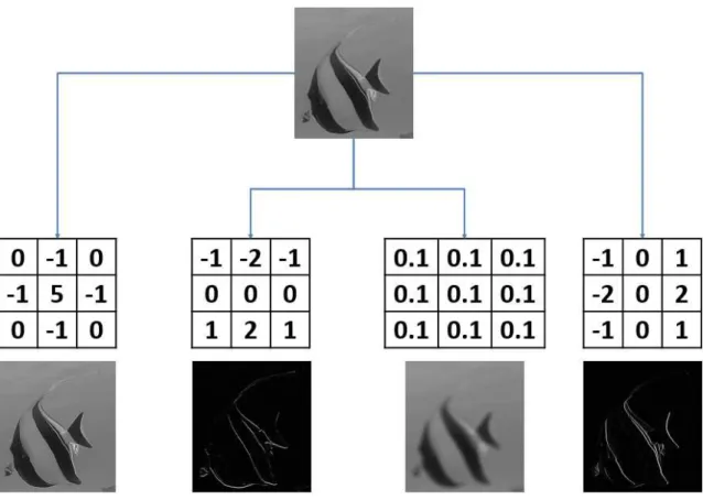 Figure 1.12 – 4 exemples d’application d’un filtre de convolution à une image.