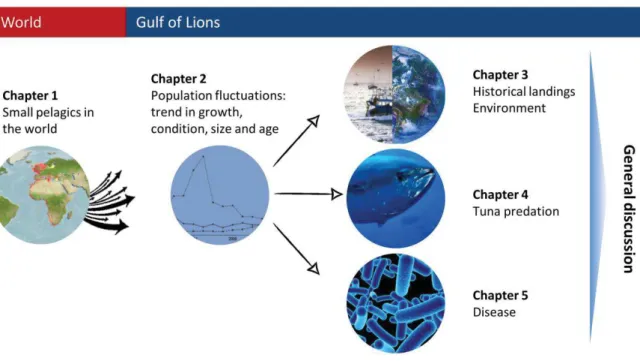 Fig. 1 Conceptual framework of this PhD. 