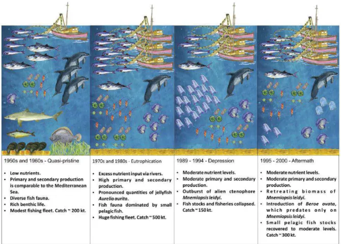 Fig. 11 Schematic illustration of the four periods in the Black Sea. (from Akoglu et al