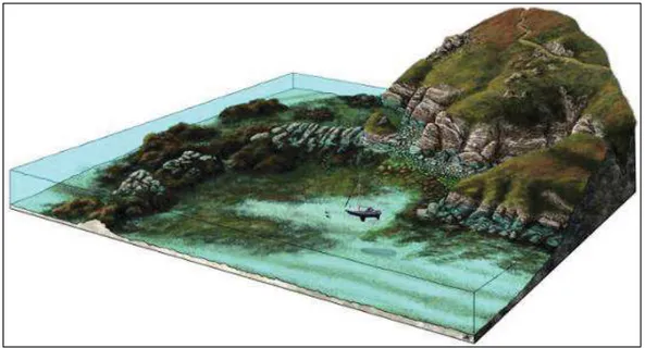 Figure  8 :  Bloc  diagramme  des  paysages  sous-marins  de  la  roche  de  Men  Coz  (Bretagne, France) © Maxime Aubinet, http://www.aires-marines.fr  