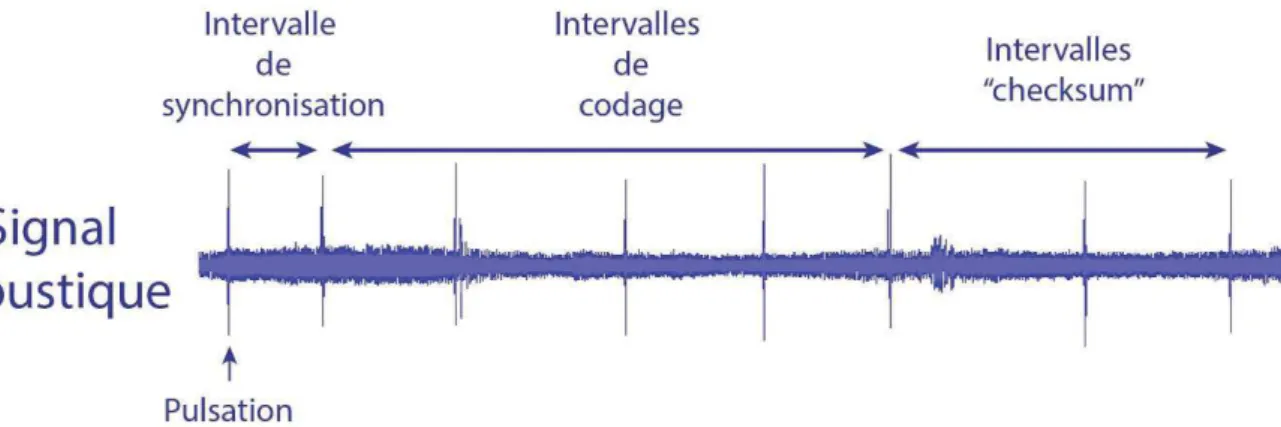 Figure 10. Profil du signal acoustique produit par un émetteur Vemco. 