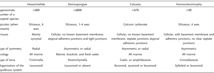 Table 1. The four sponge classes differ according to several ecological, morphological, and developmental features