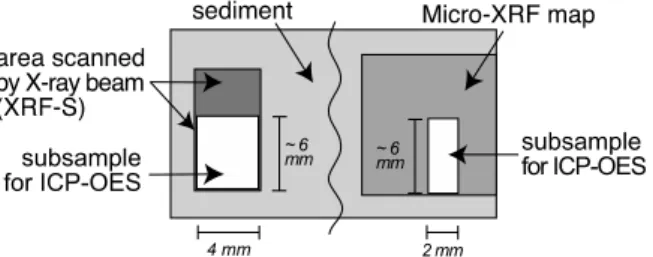 Figure 4. Sketch showing subsamples taken for the quantification of XRF-S and Micro-XRF  data using ICP-OES