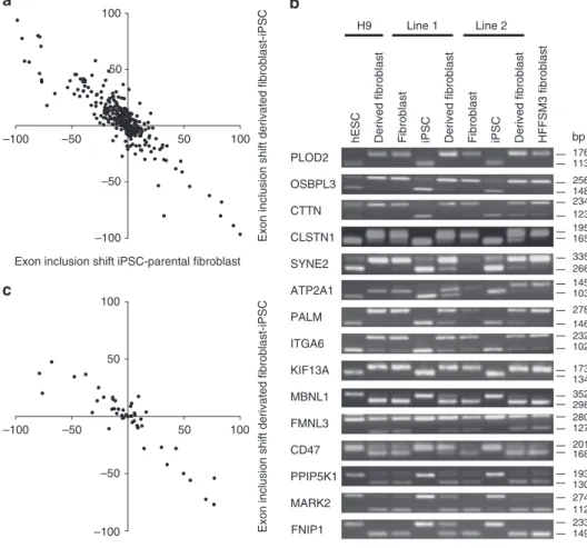 Figure 1 | A reversible splicing programme in pluripotent stem cells. (a) Scatter plot showing reversible splicing changes in 303 exons in a diverse array of genes