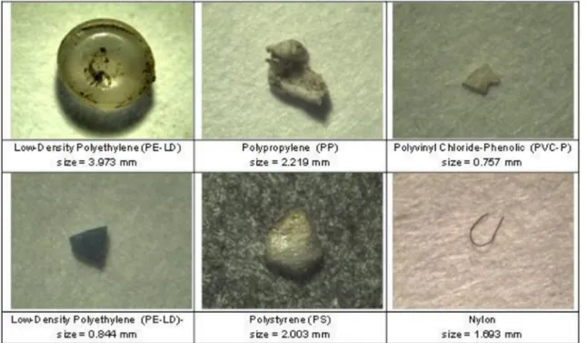 Fig. 5 Example of microplastic particles and their polymer type and their size (Galgani et al
